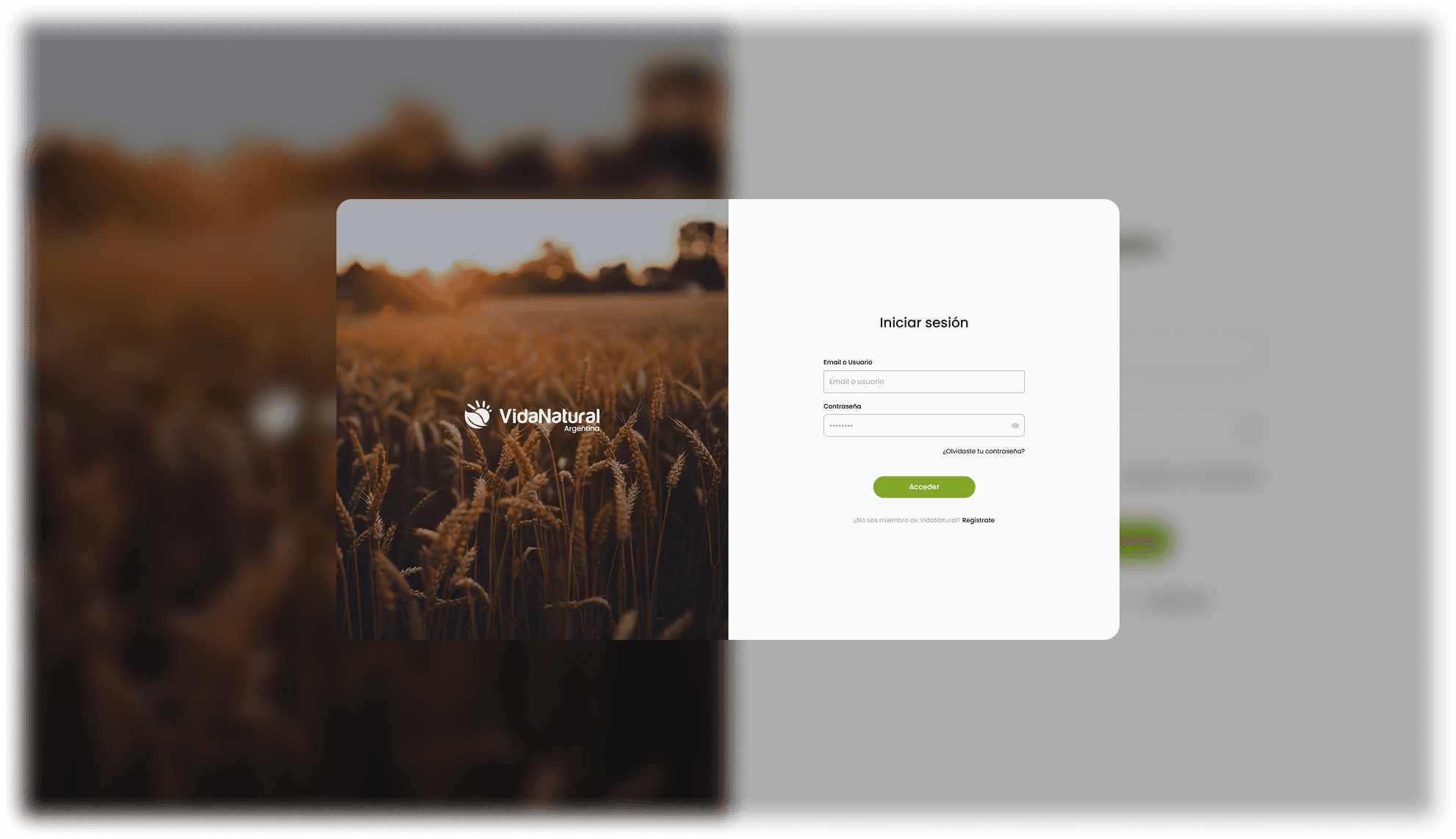 Vida Natural (Next.js 15 / E-commerce B2B Core)