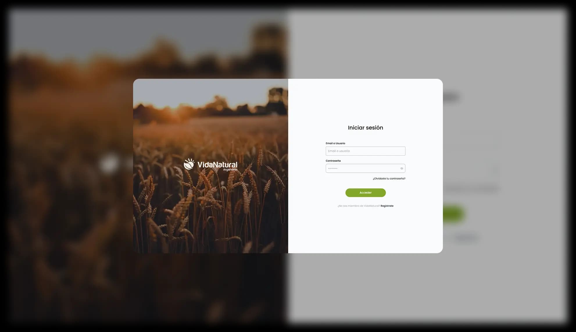 Vida Natural (Next.js 15 / E-commerce B2B Core)